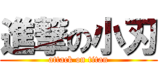 進撃の小刃 (attack on titan)