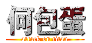 何包蛋 (attack on titan)