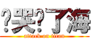 她哭蓝了海 (attack on titan)