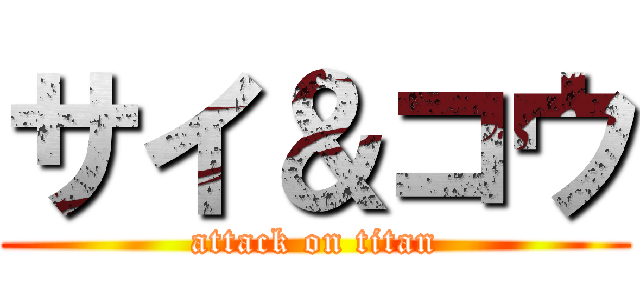 サイ＆コウ (attack on titan)