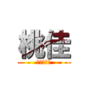 桃佳 (（＾∇＾）)