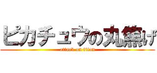 ピカチュウの丸焦げ (attack on titan)