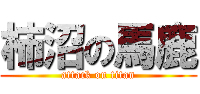 柿沼の馬鹿 (attack on titan)