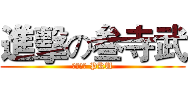 進擊の叁寺武 (无限华丽 PKU)
