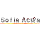 Ｓｏｆｉａ Ａｃｕñａ (attack on titan)