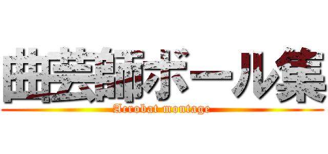 曲芸師ボール集 (Acrobat montage)