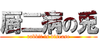 厨二病の兎 (rabbit is disease)