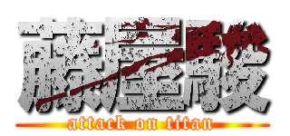 藤屋駿 (attack on titan)