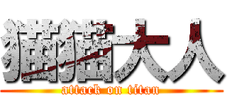 猫猫大人 (attack on titan)