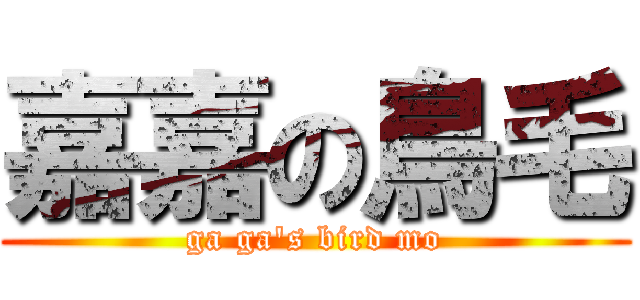 嘉嘉の鳥毛 (ga ga\'s bird mo)