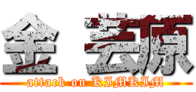 金 芸原 (attack on KIMKIM)