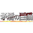 矛盾の巨猫 (attack on cat)