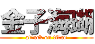 金子海瑚 (attack on titan)
