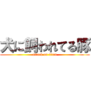 犬に飼われてる豚 (attack on titan)