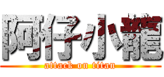 阿仔小龍 (attack on titan)