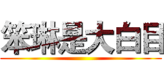 笨琳是大白目 ()