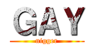 ＧＡＹ (nigger)