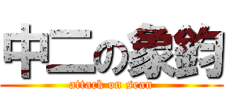 中二の象鈞 (attack on sean)