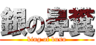 銀の鼻糞 (king of busu)