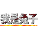 我是兔子 (我是兔子字字)
