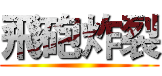 飛砲炸裂 ()