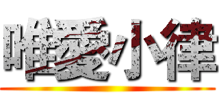 唯愛小律 ()