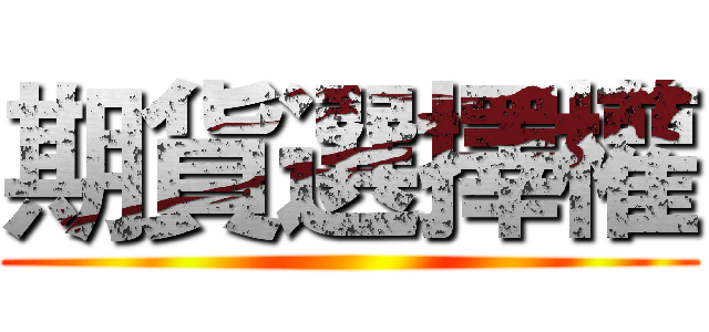 期貨選擇權 ()