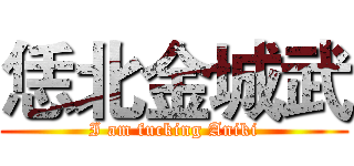 恁北金城武 (I am fucking Aniki)