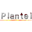 Ｐｌａｎｔｅｌ (166)