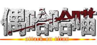 偶哈哈喵 (attack on titan)