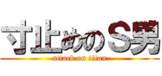 寸止めのＳ男 (attack on titan)