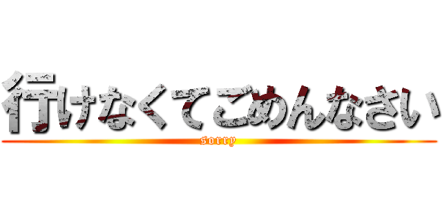 行けなくてごめんなさい (sorry)