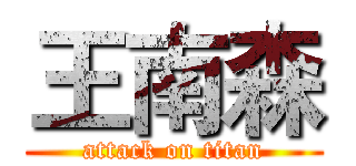 王南森 (attack on titan)