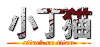 小丁猫 (attack on titan)