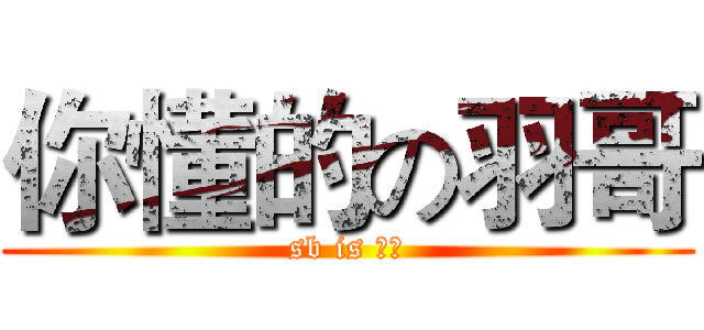 你懂的の羽哥 (sb is 羽哥)