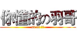 你懂的の羽哥 (sb is 羽哥)