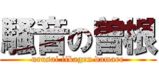 騒音の曽根 (urusai iikagen damare)