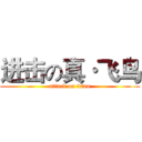进击の真·飞鸟 (attack on titan)