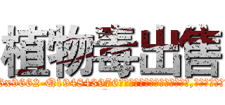 植物毒出售 (植物毒出售【电.话186x0156x9662-Q194843976林氏药业】我们做的是长期生意,靠的是老客户长期支持
参考消息网2月20日报道 韩媒称，“剩女多、离婚率高的城市，房价一定会上涨。”这是中国经济学家金岩石2016年12月参加在上海举行的房地产相关论坛时说的话。
)