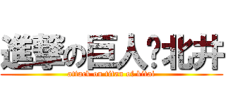 進撃の巨人•北井 (attack on titan of kitai)