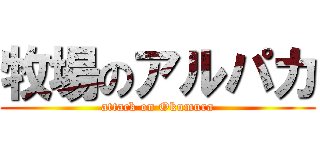 牧場のアルパカ (attack on Okumura)