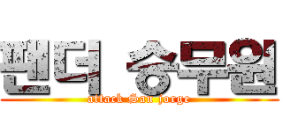 팬더 승무원 (attack San jorge)