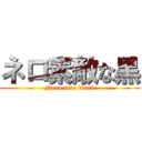 ネロ素敵な黒 (Nero nice black)