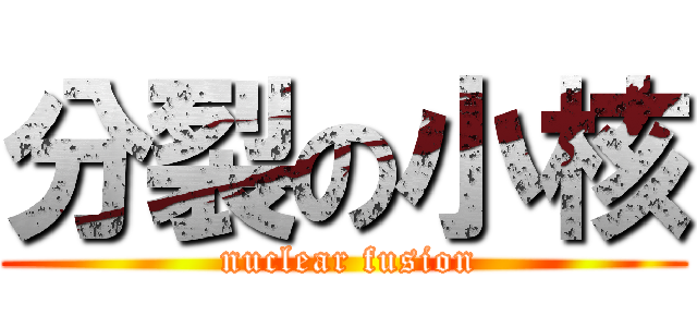 分裂の小核 ( nuclear fusion)