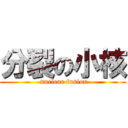 分裂の小核 ( nuclear fusion)