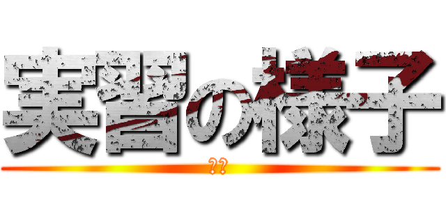 実習の様子 (企業)