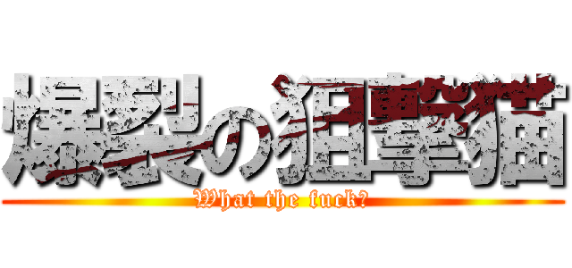爆裂の狙撃猫 (What the fuck?)