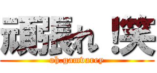 頑張れ！笑 (oh.gamvarey)