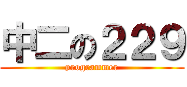 中二の２２９ (programmer)