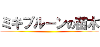 ミキプルーンの苗木 ()
